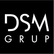 DSM Grup